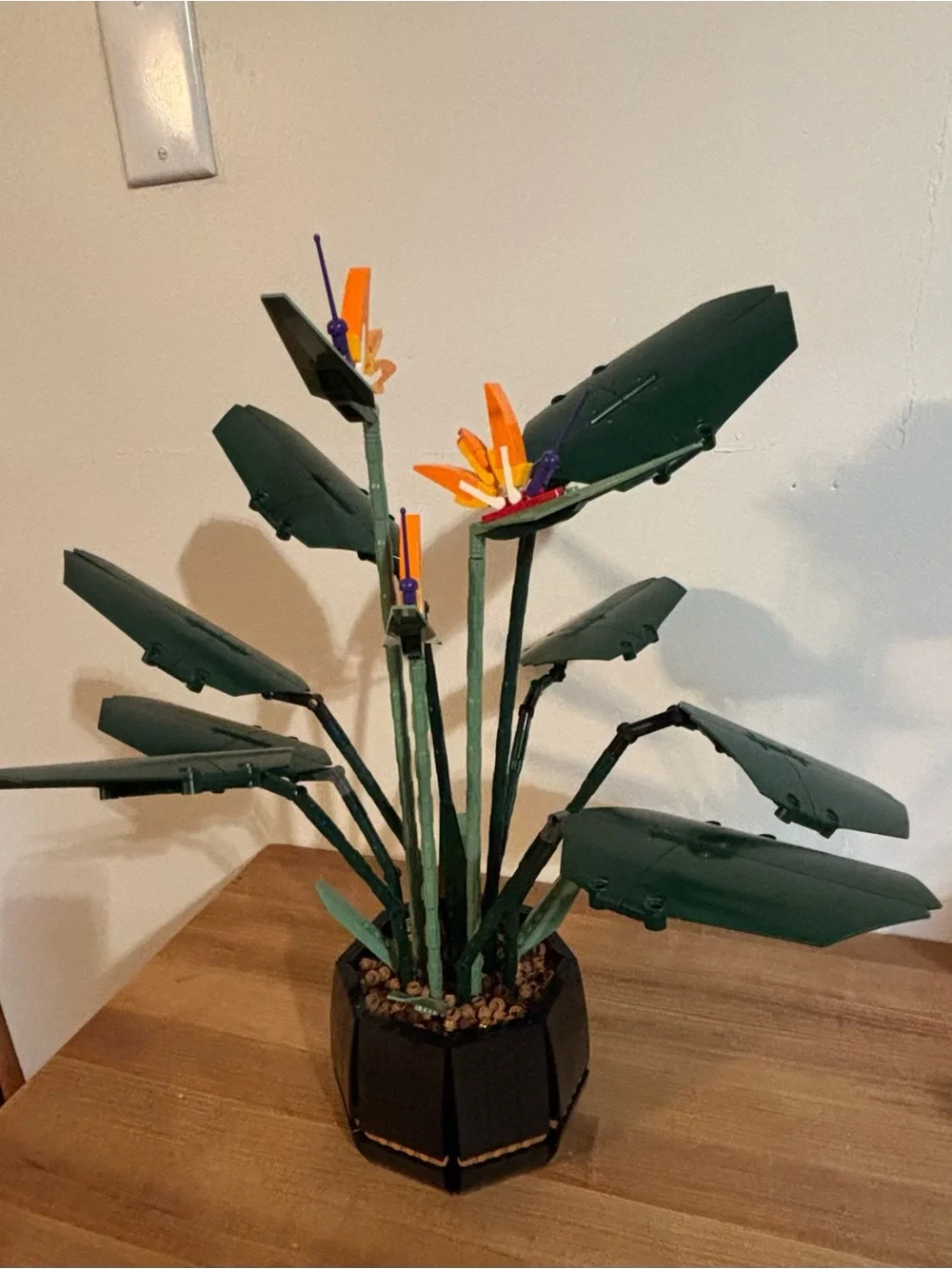 LEGO Botanicals Bird of Paradise 10289 Retired Set